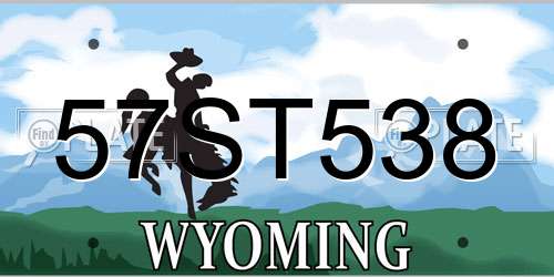 57ST538 Wyoming License Plate