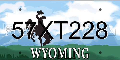 57XT228 Wyoming License Plate