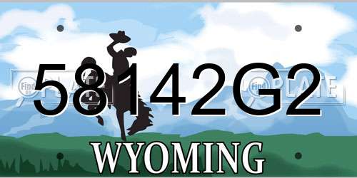 58142G2 Wyoming License Plate