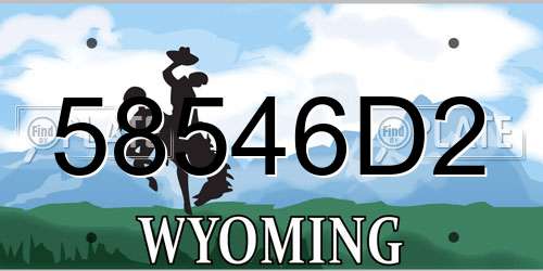58546D2 Wyoming License Plate