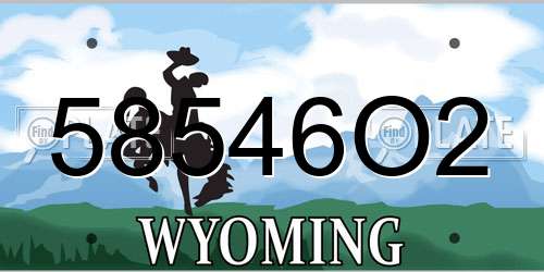 58546O2 Wyoming License Plate