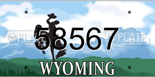 58567 Wyoming License Plate