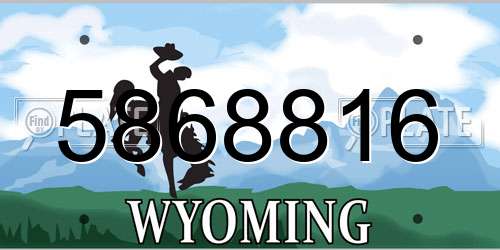 5868816 Wyoming License Plate