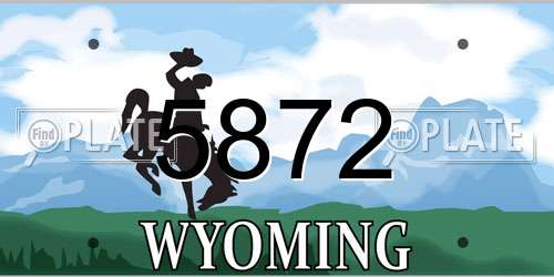 5872 Wyoming License Plate