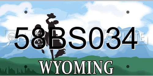 58BS034 Wyoming License Plate