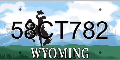 58CT782 Wyoming License Plate