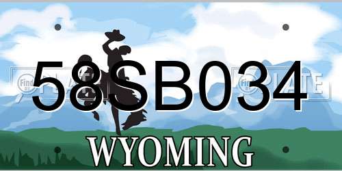 58SB034 Wyoming License Plate