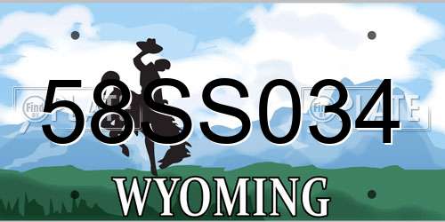 58SS034 Wyoming License Plate