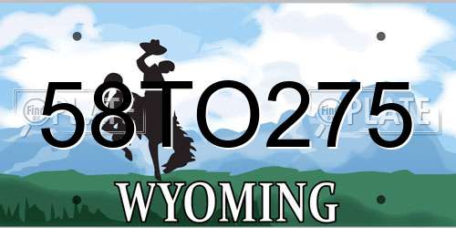 58TO275 Wyoming License Plate