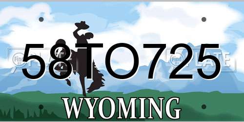 58TO725 Wyoming License Plate
