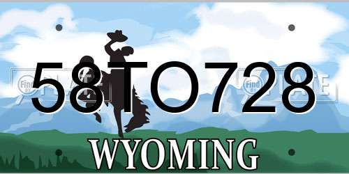 58TO728 Wyoming License Plate