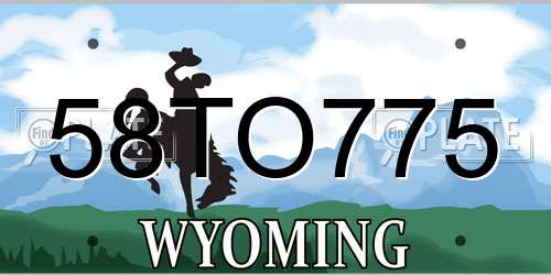 58TO775 Wyoming License Plate
