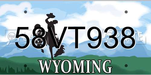 58VT938 Wyoming License Plate