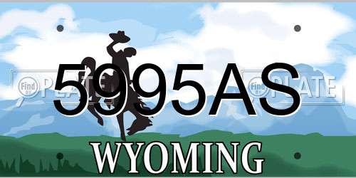 5995AS Wyoming License Plate