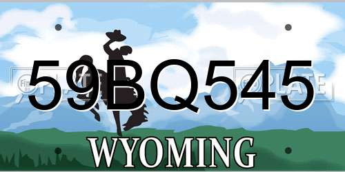 59BQ545 Wyoming License Plate
