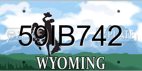 59IB742 Wyoming License Plate