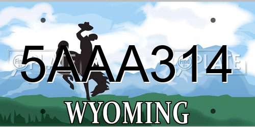 5AAA314 Wyoming License Plate