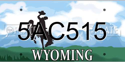 5AC515 Wyoming License Plate