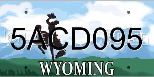 5ACD095 Wyoming License Plate