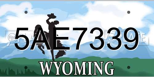 5AE7339 Wyoming License Plate