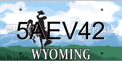 5AEV42 Wyoming License Plate