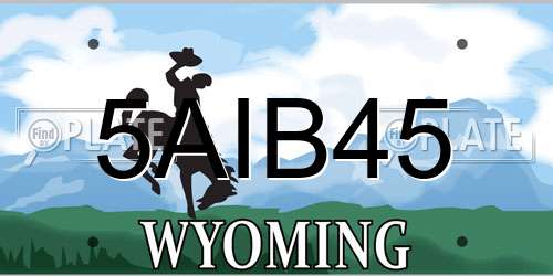 5AIB45 Wyoming License Plate