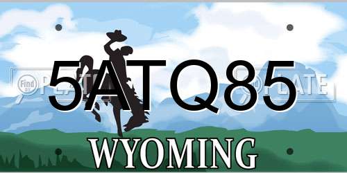 5ATQ85 Wyoming License Plate