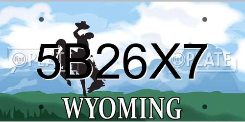 5B26X7 Wyoming License Plate