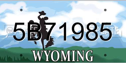 5B71985 Wyoming License Plate