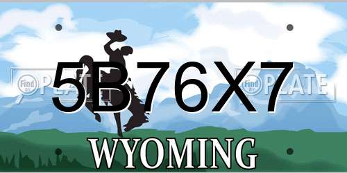 5B76X7 Wyoming License Plate