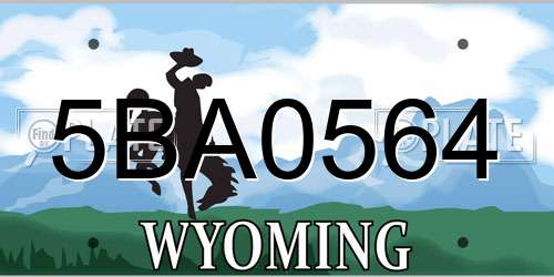 5BA0564 Wyoming License Plate
