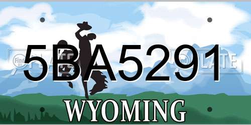 5BA5291 Wyoming License Plate