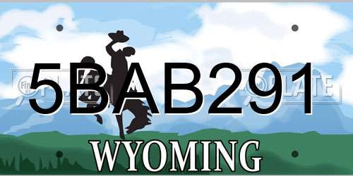 5BAB291 Wyoming License Plate
