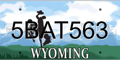 5BAT563 Wyoming License Plate