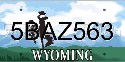5BAZ563 Wyoming License Plate