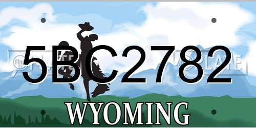 5BC2782 Wyoming License Plate