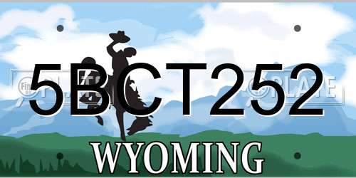 5BCT252 Wyoming License Plate