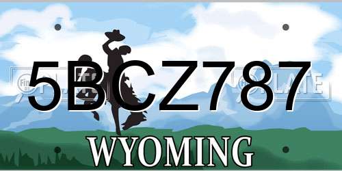 5BCZ787 Wyoming License Plate