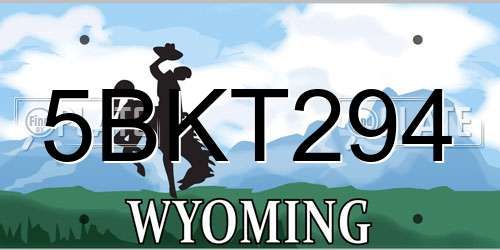 5BKT294 Wyoming License Plate