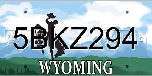 5BKZ294 Wyoming License Plate