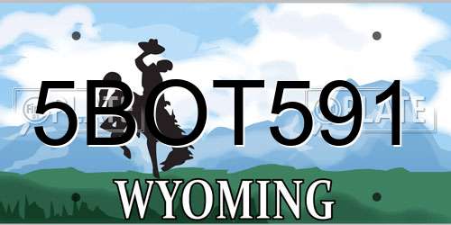 5BOT591 Wyoming License Plate