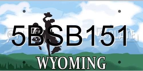 5BSB151 Wyoming License Plate