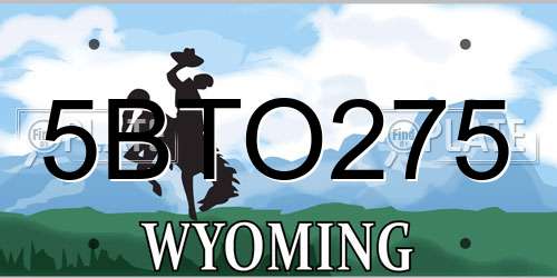 5BTO275 Wyoming License Plate