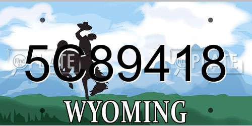 5C89418 Wyoming License Plate