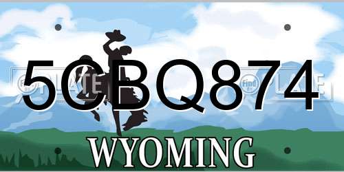 5CBQ874 Wyoming License Plate