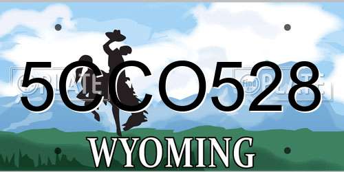 5CCO528 Wyoming License Plate