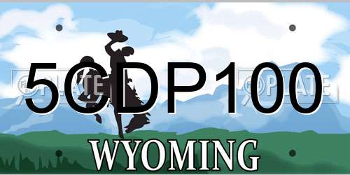 5CDP100 Wyoming License Plate