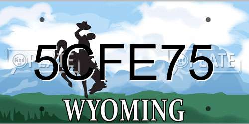 5CFE75 Wyoming License Plate