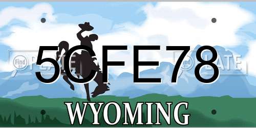 5CFE78 Wyoming License Plate