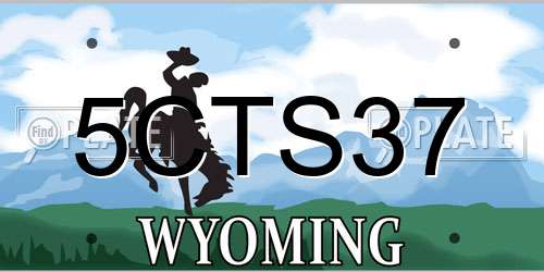 5CTS37 Wyoming License Plate